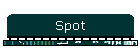 Spot